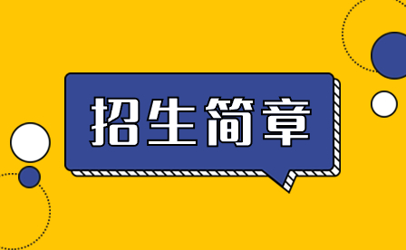 湖南艺术职业学院2020年单独招生简章